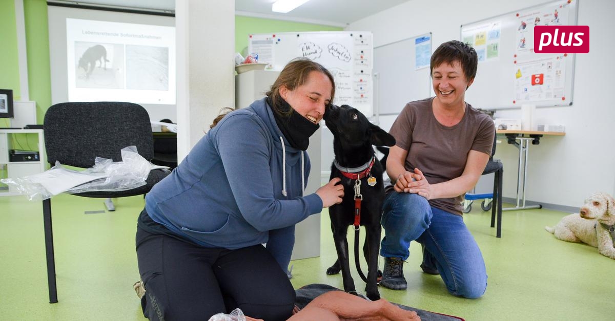 Tierisches Training für den Ernstfall